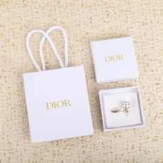 Christian Dior Earrings